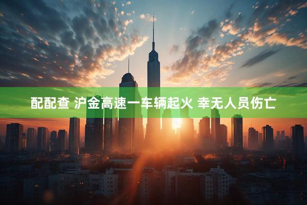 配配查 沪金高速一车辆起火 幸无人员伤亡