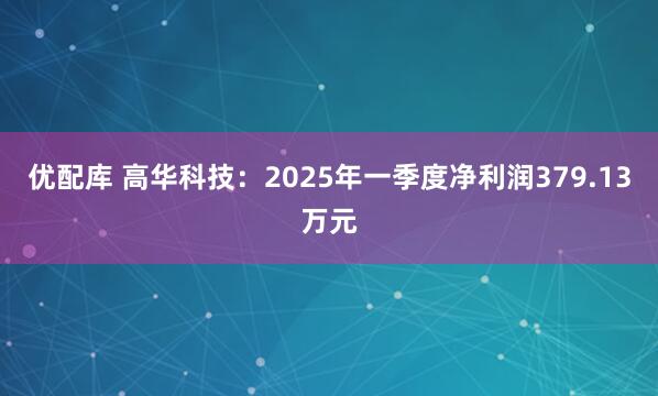 优配库 高华科技：2025年一季度净利润379.13万元