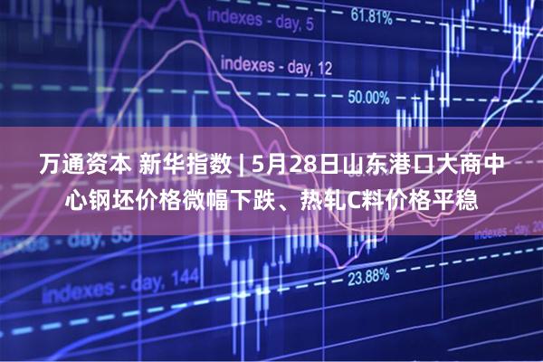 万通资本 新华指数 | 5月28日山东港口大商中心钢坯价格微幅下跌、热轧C料价格平稳